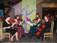 /album/colora-quartet/kvartet-1-jpg/